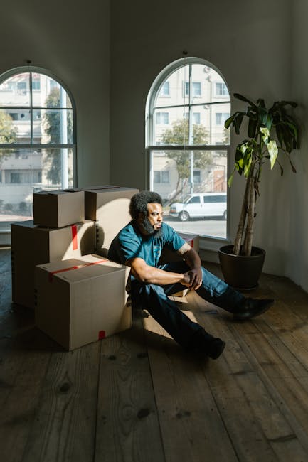 A man with curly hair and medium skin tone sitting on a wooden floor in a room with large, arched windows that let in natural daylight. He is wearing a blue t-shirt and dark trousers, and appears to be taking a break during a home relocation, surrounded by several cardboard boxes of various sizes, some sealed with red packing tape. The boxes are stacked on the floor and near the window, indicating a packing or moving process supervised or organized by Man With a Van Harlington. Behind him, inside the room, a tall potted plant with large, green leaves is visible, adding a touch of indoor greenery. The room has white walls and a minimally decorated interior, typical of a house preparing for furniture transport, with the natural light highlighting the textures of the wooden floor and the boxes. The scene captures the packing and moving phase of a furniture removals service.