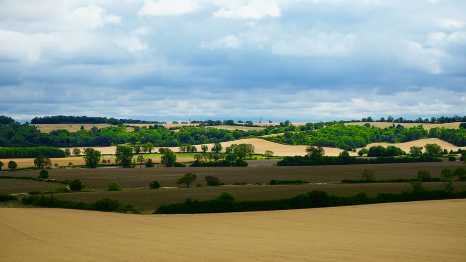 A landscape view of rolling farmland with layered fields separated by hedgerows and scattered trees, under a partly cloudy sky with patches of blue. The foreground features a large golden crop field, while the middle ground shows a darker, recently ploughed area with a few groups of trees. Further in the distance, there are more fields with various shades of green and beige, alongside small wooded patches. The scene appears peaceful and open, with no visible buildings or vehicles. This scenic rural environment reflects the type of exterior setting where home relocation processes involving furniture transport or packing and moving preparations may take place, as seen in services provided by Man With a Van Harlington.